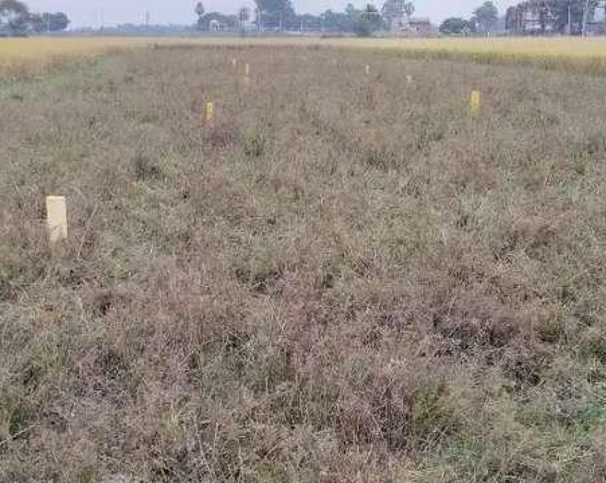 Land for sale fresh plot with complete paper